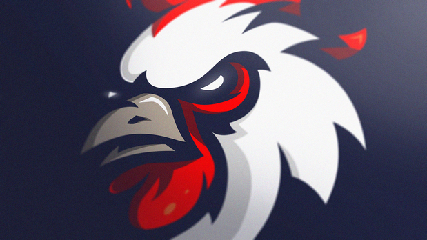 logo设计案例：GALLUS Rooster sports插图2