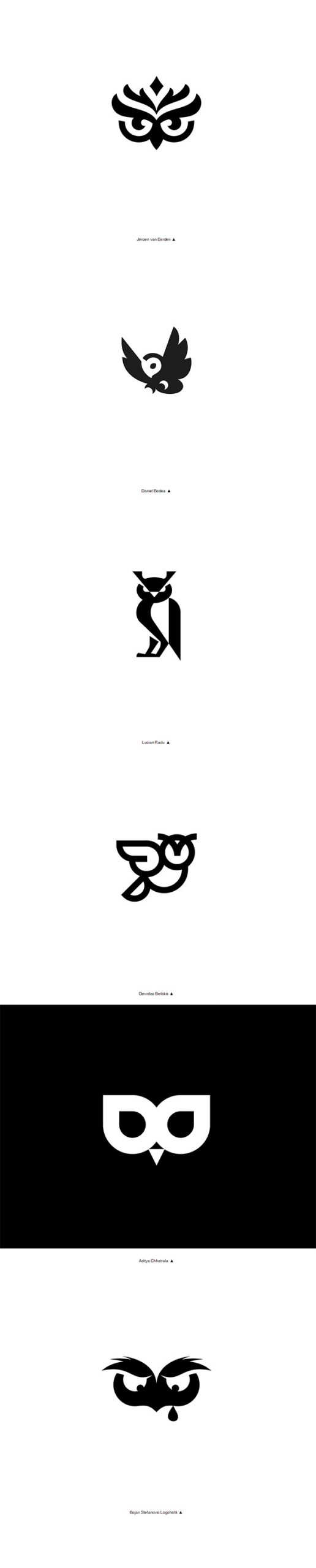 logo设计案例：Owl Collection for Paul插图